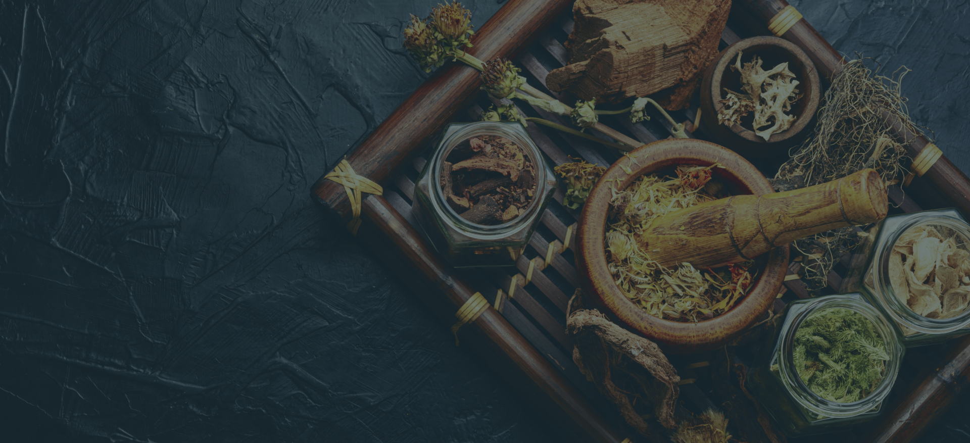 Best Acupuncture Services in Orange County, CA Dr. Narges