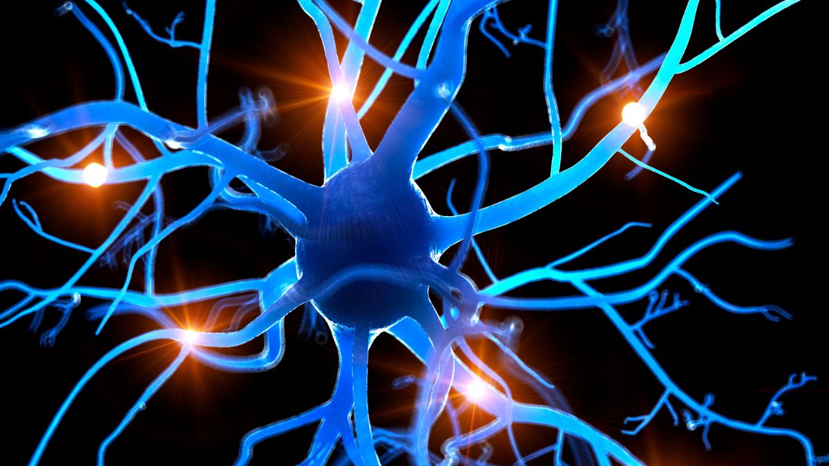whats the connection between acupuncture and the nervous system